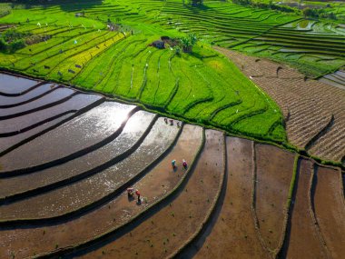 Güzel bir sabah manzarası Endonezya manzara plajı güzellik rengi ve gökyüzü doğal ışığı