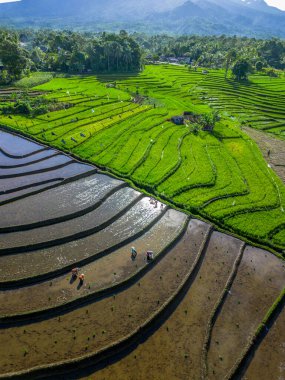 Güzel bir sabah manzarası Endonezya manzara plajı güzellik rengi ve gökyüzü doğal ışığı