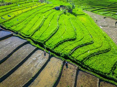 Güzel bir sabah manzarası Endonezya manzara plajı güzellik rengi ve gökyüzü doğal ışığı