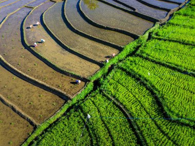 Güzel bir sabah manzarası Endonezya manzara plajı güzellik rengi ve gökyüzü doğal ışığı