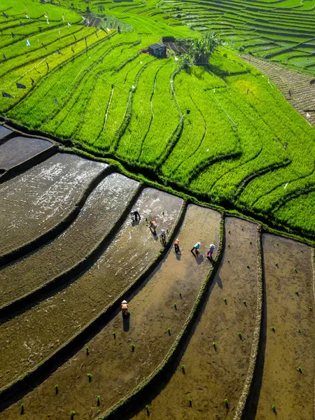 Güzel bir sabah manzarası Endonezya manzara plajı güzellik rengi ve gökyüzü doğal ışığı