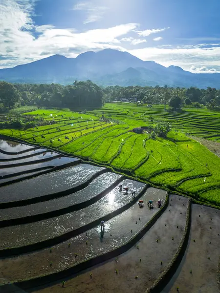 Güzel bir sabah manzarası Endonezya manzara plajı güzellik rengi ve gökyüzü doğal ışığı