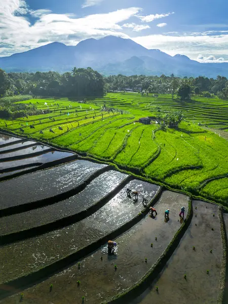 Güzel bir sabah manzarası Endonezya manzara plajı güzellik rengi ve gökyüzü doğal ışığı