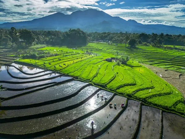 Güzel bir sabah manzarası Endonezya manzara plajı güzellik rengi ve gökyüzü doğal ışığı