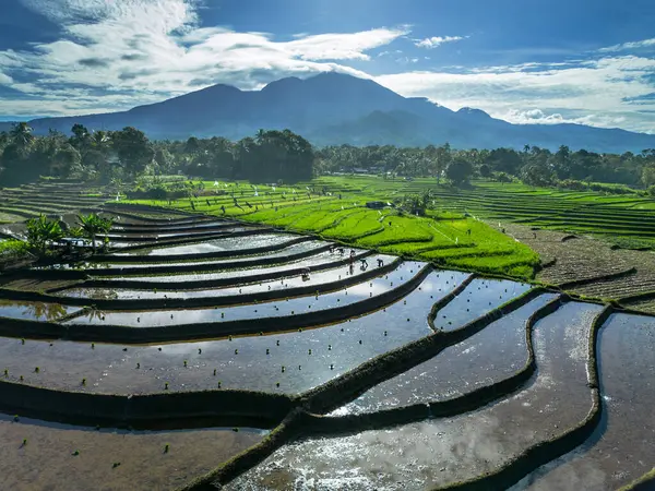 Güzel bir sabah manzarası Endonezya manzara plajı güzellik rengi ve gökyüzü doğal ışığı
