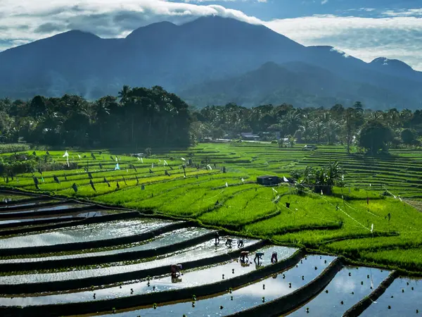 Güzel bir sabah manzarası Endonezya manzara plajı güzellik rengi ve gökyüzü doğal ışığı