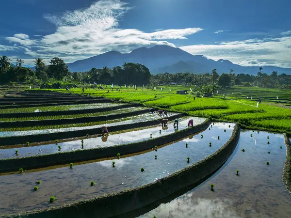 Güzel bir sabah manzarası Endonezya manzara plajı güzellik rengi ve gökyüzü doğal ışığı