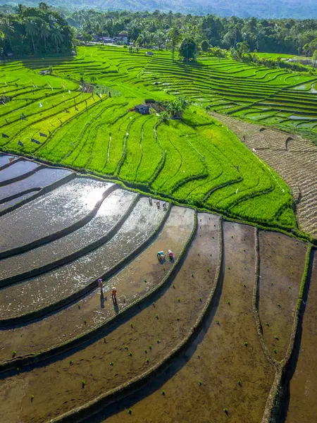 Güzel bir sabah manzarası Endonezya manzara plajı güzellik rengi ve gökyüzü doğal ışığı