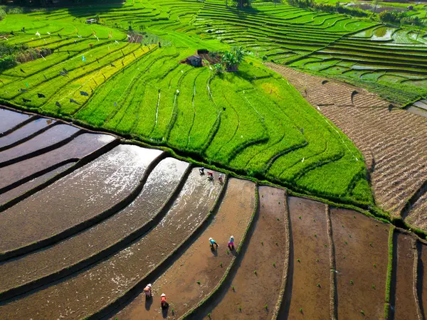 Güzel bir sabah manzarası Endonezya manzara plajı güzellik rengi ve gökyüzü doğal ışığı