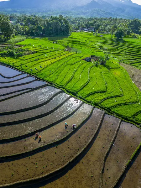 Güzel bir sabah manzarası Endonezya manzara plajı güzellik rengi ve gökyüzü doğal ışığı