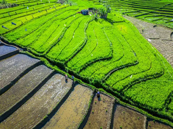 Güzel bir sabah manzarası Endonezya manzara plajı güzellik rengi ve gökyüzü doğal ışığı