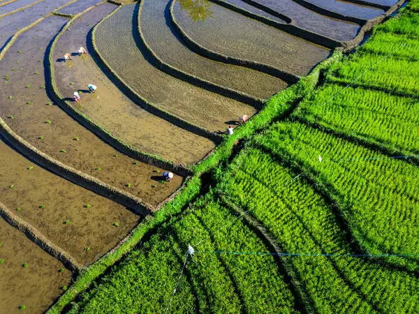 Güzel bir sabah manzarası Endonezya manzara plajı güzellik rengi ve gökyüzü doğal ışığı