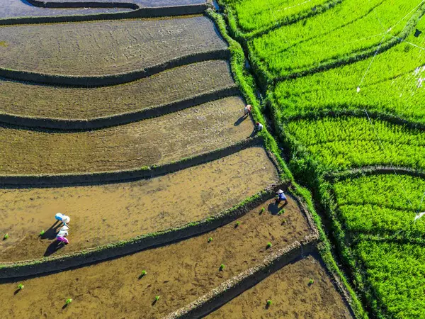 Güzel bir sabah manzarası Endonezya manzara plajı güzellik rengi ve gökyüzü doğal ışığı