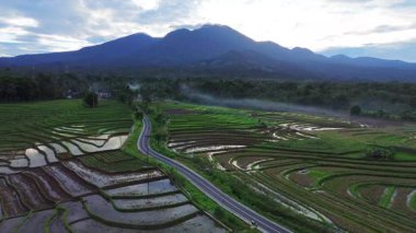 Beautiful morning view indonesia panorama landscape paddy fields with beauty color and sky natural light