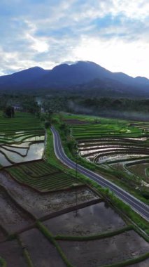 Beautiful morning view indonesia panorama landscape paddy fields with beauty color and sky natural light