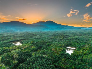 Güzel bir sabah manzarası Endonezya manzara plajı güzellik rengi ve gökyüzü doğal ışığı