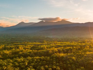 Güzel bir sabah manzarası Endonezya manzara plajı güzellik rengi ve gökyüzü doğal ışığı
