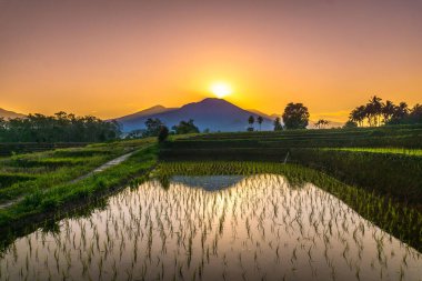 Güzel bir sabah manzarası Endonezya manzara plajı güzellik rengi ve gökyüzü doğal ışığı
