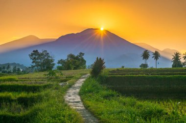 Güzel bir sabah manzarası Endonezya manzara plajı güzellik rengi ve gökyüzü doğal ışığı
