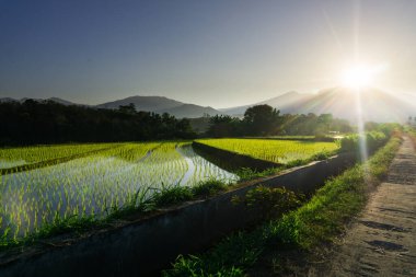 Güzel bir sabah manzarası Endonezya manzara plajı güzellik rengi ve gökyüzü doğal ışığı