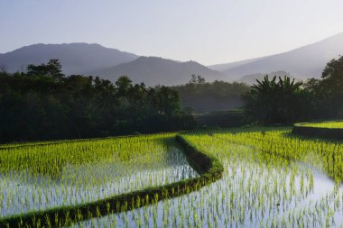 Güzel bir sabah manzarası Endonezya manzara plajı güzellik rengi ve gökyüzü doğal ışığı