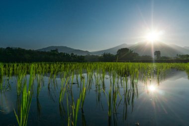 Güzel bir sabah manzarası Endonezya manzara plajı güzellik rengi ve gökyüzü doğal ışığı