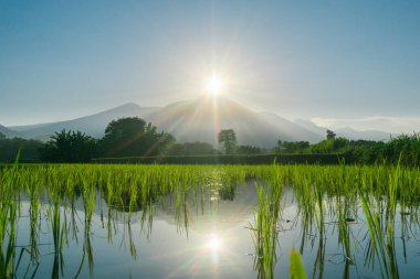 Güzel bir sabah manzarası Endonezya manzara plajı güzellik rengi ve gökyüzü doğal ışığı