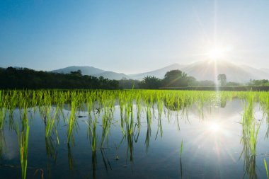 Güzel bir sabah manzarası Endonezya manzara plajı güzellik rengi ve gökyüzü doğal ışığı