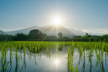 Güzel bir sabah manzarası Endonezya manzara plajı güzellik rengi ve gökyüzü doğal ışığı