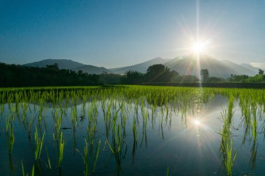 Güzel bir sabah manzarası Endonezya manzara plajı güzellik rengi ve gökyüzü doğal ışığı