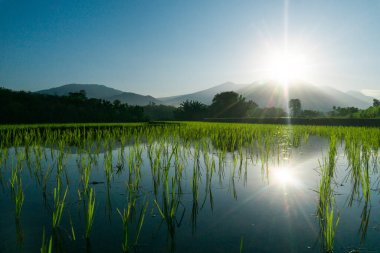 Güzel bir sabah manzarası Endonezya manzara plajı güzellik rengi ve gökyüzü doğal ışığı