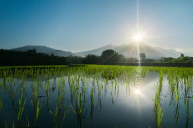 Güzel bir sabah manzarası Endonezya manzara plajı güzellik rengi ve gökyüzü doğal ışığı