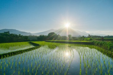 Güzel bir sabah manzarası Endonezya manzara plajı güzellik rengi ve gökyüzü doğal ışığı