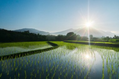 Güzel bir sabah manzarası Endonezya manzara plajı güzellik rengi ve gökyüzü doğal ışığı