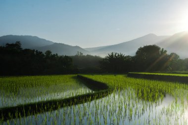 Güzel bir sabah manzarası Endonezya manzara plajı güzellik rengi ve gökyüzü doğal ışığı