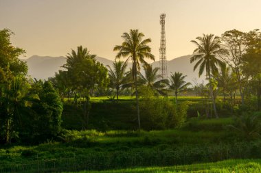 Güzel bir sabah manzarası Endonezya manzara plajı güzellik rengi ve gökyüzü doğal ışığı