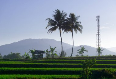 Güzel bir sabah manzarası Endonezya manzara plajı güzellik rengi ve gökyüzü doğal ışığı