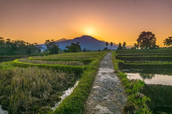 Güzel bir sabah manzarası Endonezya manzara plajı güzellik rengi ve gökyüzü doğal ışığı