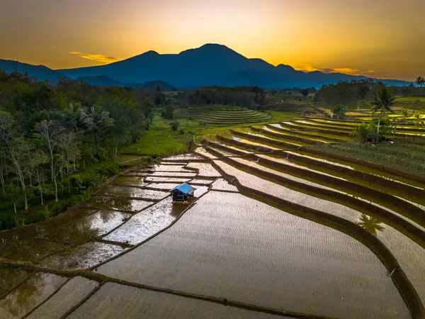 Güzel bir sabah manzarası Endonezya manzara plajı güzellik rengi ve gökyüzü doğal ışığı