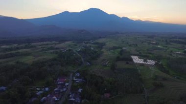 Beautiful morning view indonesia panorama landscape paddy fields with beauty color and sky natural light