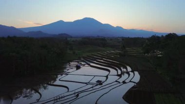 Beautiful morning view indonesia panorama landscape paddy fields with beauty color and sky natural light