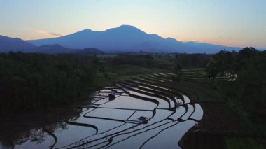 Beautiful morning view indonesia panorama landscape paddy fields with beauty color and sky natural light