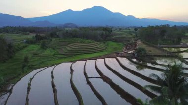 Beautiful morning view indonesia panorama landscape paddy fields with beauty color and sky natural light