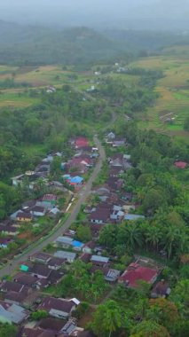 Beautiful morning view indonesia panorama landscape paddy fields with beauty color and sky natural light