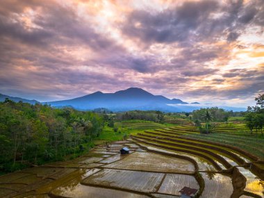 Beautiful morning view indonesia panorama landscape paddy fields with beauty color and sky natural light