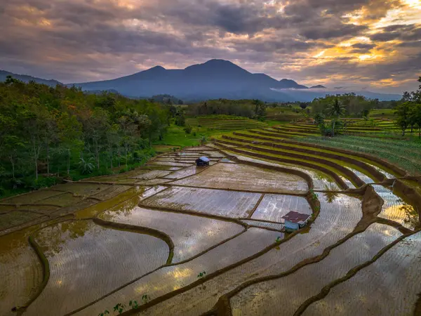 Beautiful morning view indonesia panorama landscape paddy fields with beauty color and sky natural light