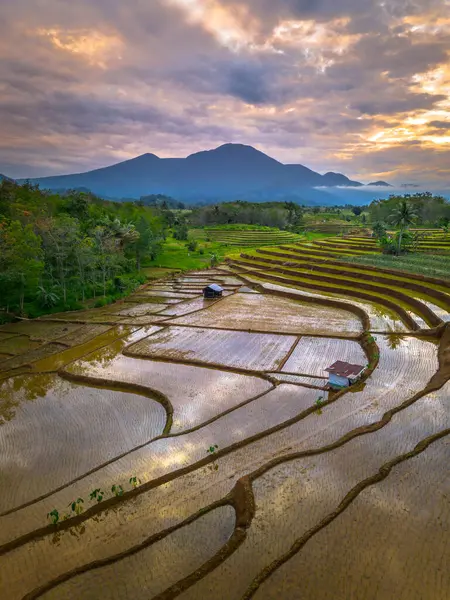 Beautiful morning view indonesia panorama landscape paddy fields with beauty color and sky natural light