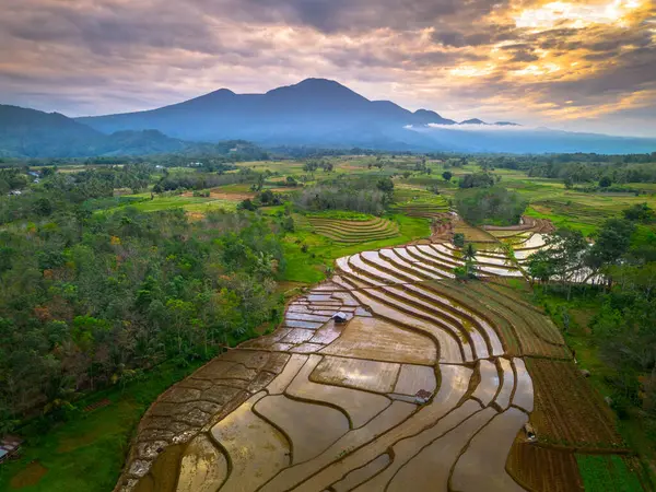 Beautiful morning view indonesia panorama landscape paddy fields with beauty color and sky natural light
