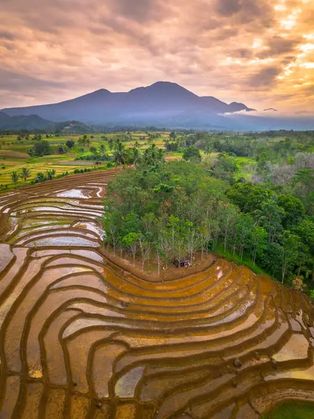 Beautiful morning view indonesia panorama landscape paddy fields with beauty color and sky natural light