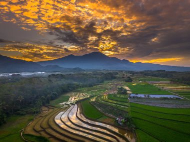 Beautiful morning view indonesia panorama landscape paddy fields with beauty color and sky natural light